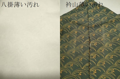 平和屋着物■訪問着 萩 金彩 正絹 逸品 CABD9966ze