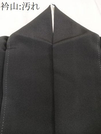 平和屋着物■豪華黒留袖 枝垂れ枝松文 暈し染め 金彩 正絹 逸品 CABE0450xi
