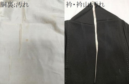 平和屋着物■豪華黒留袖　鳳凰枝松文　金銀彩　正絹　逸品　CABE0517xi