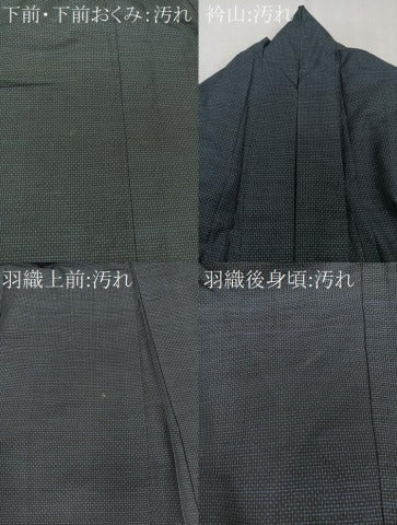 平和屋着物■男性 本場大島紬 アンサンブル 霞文 正絹 逸品 CABE0572xi