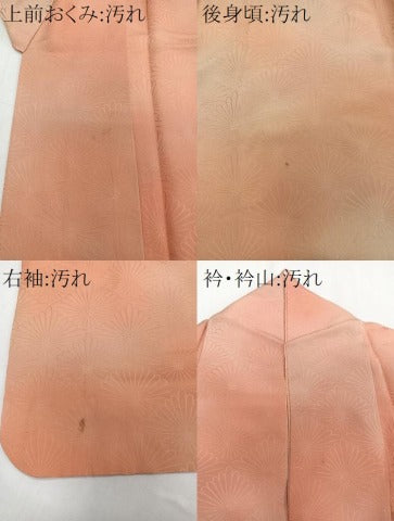 平和屋着物■上質な小紋 菊菱地紋 暈し染め 正絹 逸品 CABE0649xi