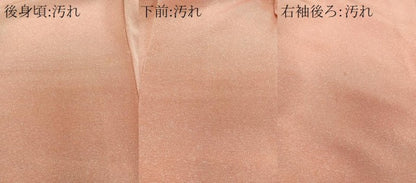 平和屋着物■上質な小紋 霞文 鬼しぼ縮緬 正絹 逸品 CABE0766xi