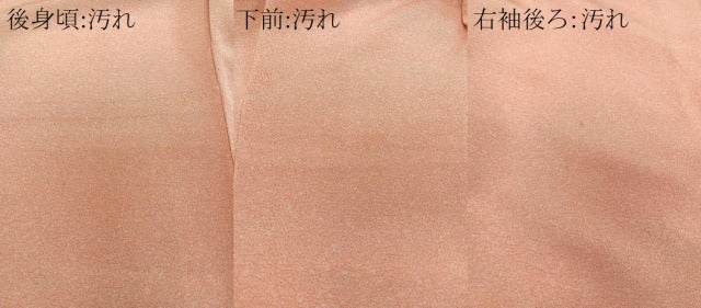 平和屋着物■上質な小紋 霞文 鬼しぼ縮緬 正絹 逸品 CABE0766xi