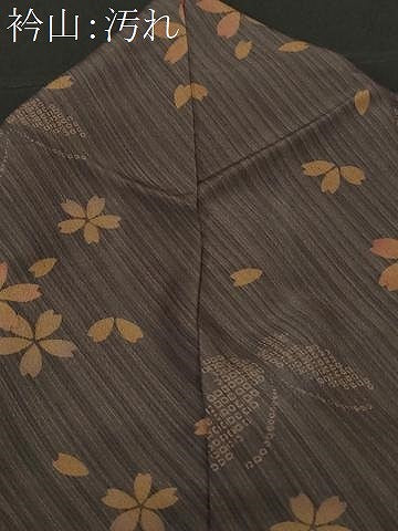 平和屋着物■小紋　花蝶文　洗える着物　CABE1780ev
