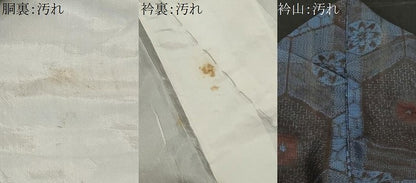 平和屋着物■本場大島紬　割り込み絣　亀甲花文　正絹　逸品　CABE1835ev