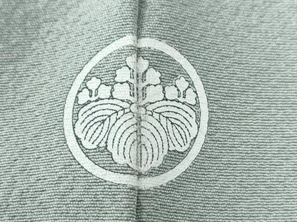 平和屋着物●白泥染の第一人者・絣の魔術師　恵積五郎監修　色無地　恵大島織物謹製　秘色色　証紙付き　正絹　逸品　CABE2018yc