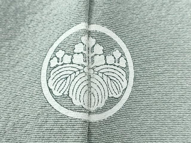平和屋着物●白泥染の第一人者・絣の魔術師　恵積五郎監修　色無地　恵大島織物謹製　秘色色　証紙付き　正絹　逸品　CABE2018yc