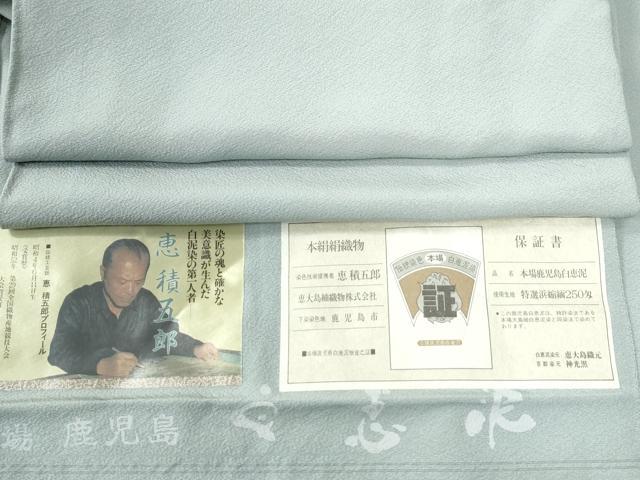 平和屋着物●白泥染の第一人者・絣の魔術師　恵積五郎監修　色無地　恵大島織物謹製　秘色色　証紙付き　正絹　逸品　CABE2018yc