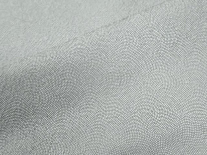 平和屋着物●伝統工芸師　服部光擴　江戸小紋　鮫小紋柄　正絹　逸品　CABE2113yc