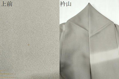 平和屋着物●訪問着　刺繍　霞飛鶴文　暈し染め　金彩　正絹　逸品　CABE2151yc