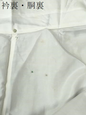 平和屋着物●本場大島紬　龍郷絣　正絹　逸品　CABE2212yc