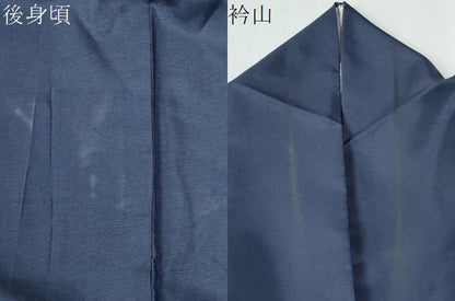 平和屋着物●訪問着　本場染大島紬　舞蝶文　金銀糸　正絹　逸品　CABE2264yc
