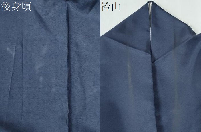平和屋着物●訪問着　本場染大島紬　舞蝶文　金銀糸　正絹　逸品　CABE2264yc