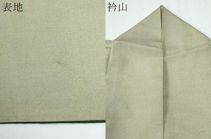 平和屋着物●本塩沢　横段文　さが美扱い　ロング丈　正絹　逸品　CABE2290yc