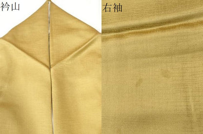 平和屋着物●訪問着　扇面花蝶文　暈し染め　金彩　正絹　逸品　CABE2514yc