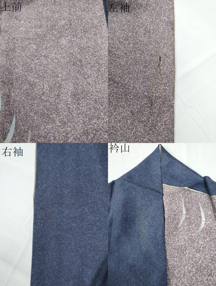 平和屋着物●訪問着　本場染大島紬　飛鳥文　ますいわ屋扱い　正絹　逸品　CABE2634yc