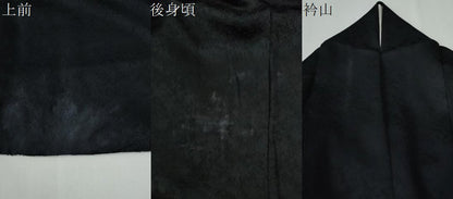 平和屋着物●訪問着　絞り　萩舞花文　黒地　正絹　逸品　CABE2651yc
