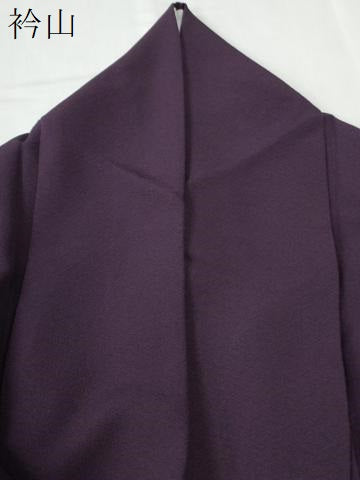 平和屋着物●上質な色無地　作家物　紫紺色　ロング丈　正絹　逸品　CABE2724yc