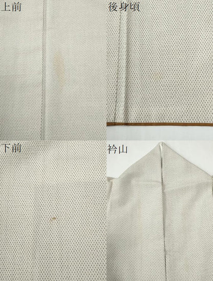 平和屋着物●本塩沢　蚊絣　正絹　逸品　CABE2727yc