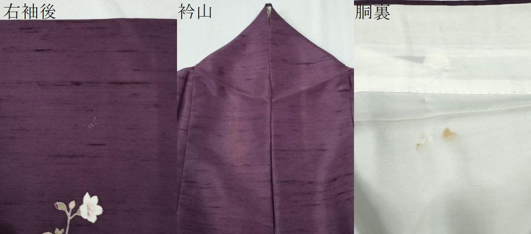 平和屋着物●訪問着　白山紬　友禅　作家物　枝花文　正絹　逸品　CABE2781yc
