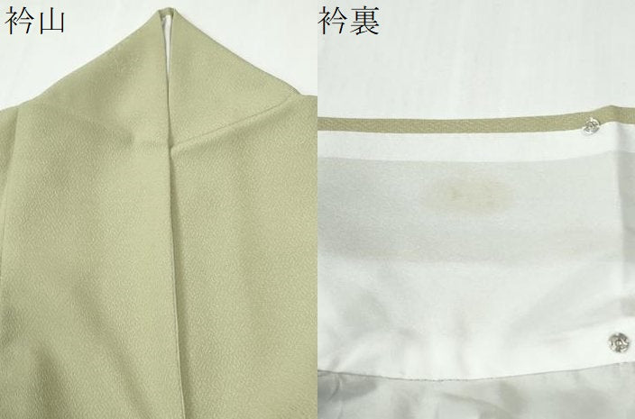 平和屋着物●色無地　草花丸地紋　裏葉柳色　さんび謹製　洗える着物　CABE2849yc 平和屋着物○色無地 草花丸地紋 裏葉柳色 さんび謹製 洗える