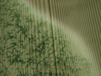 平和屋着物●訪問着　作家物　自然の恵　土の精　縞　霞吉祥文　暈し染め　正絹　逸品　CABE3175yc