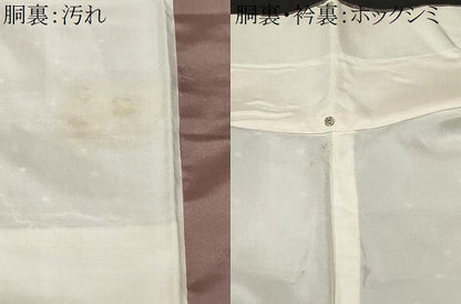 平和屋着物■上質な紬 舞花文 正絹 逸品 CABE3420ev