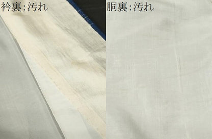 平和屋着物■上質な紬 絵絣文 正絹 逸品 CABE3437ev