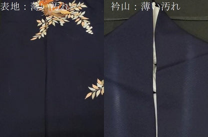 平和屋着物■色留訪問着 総刺繍 駒刺繍 尾長鳥花丸文 正絹 逸品 CABE3800dy