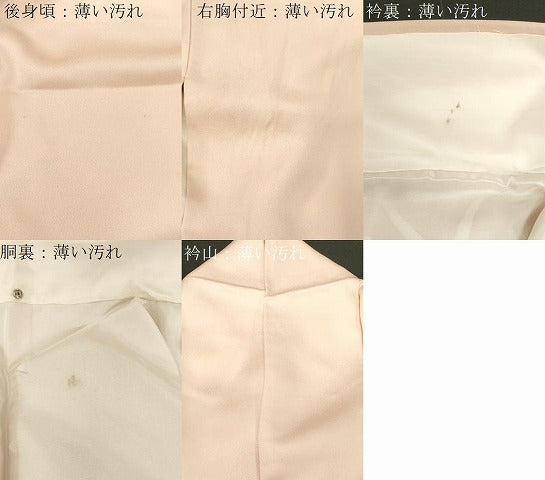 平和屋着物■訪問着 草花文 正絹 逸品 CABE3810dy
