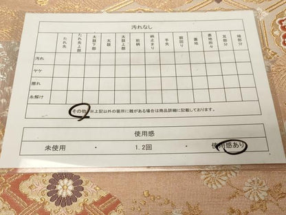 平和屋着物◎六通柄袋帯 唐織 織成 金銀糸 正絹 逸品 CABE3907dy