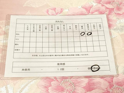 平和屋着物◎六通柄袋帯 唐織 たけうちオリジナル 草花文 銀糸 正絹 逸品 CABE3923dy