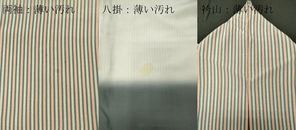 平和屋着物■江戸小紋 作家物 縞 正絹 逸品 CABE4023ou