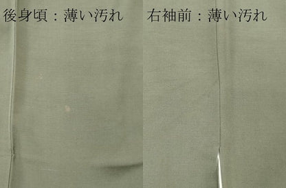 平和屋着物■上質な紬 遠山風景文 正絹 逸品 CABE4072ou