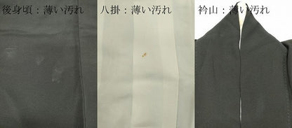 平和屋着物■豪華黒留袖 作家物 枝松文 金銀彩 正絹 逸品 CABE4091ou