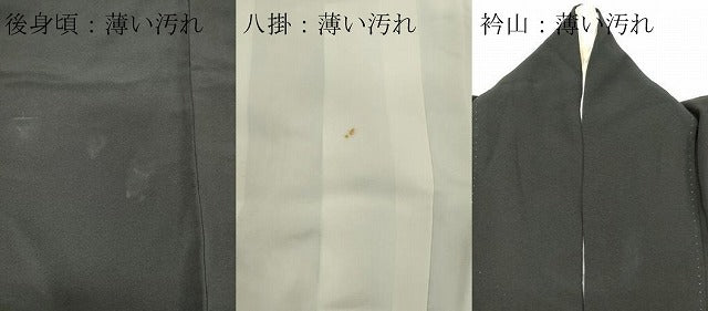 平和屋着物■豪華黒留袖 作家物 枝松文 金銀彩 正絹 逸品 CABE4091ou