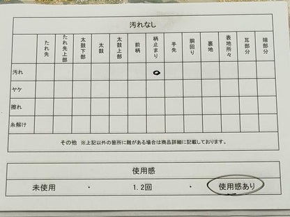 平和屋着物◎六通柄袋帯　唐織　枝松文　金銀糸　正絹　逸品　CABE4169ou