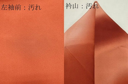 平和屋着物■豪華色留袖　作家物　孔雀花文　暈し染め　金彩　正絹　逸品　CABE4231ou