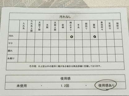 平和屋着物◎六通柄袋帯　唐織　孔雀文　銀糸　正絹　逸品　CABE4327ou