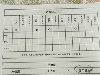 平和屋着物◎六通柄袋帯 冊子草花文 金銀糸 正絹 逸品 CABE4373ou