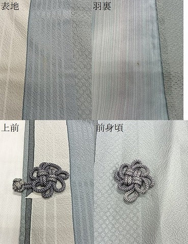 平和屋着物∞道中着　舞花びら　正絹　逸品　CABE4811ua