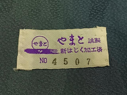 平和屋着物∞道中着　縞　暈し染め　やまと誂製　正絹　逸品　CABE4836ua