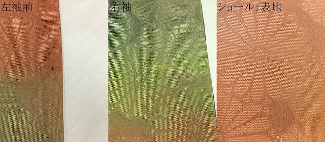 平和屋着物∞道中着　舞菊文　暈し染め　ショール付き　西武百貨店扱い　正絹　逸品　CABE4917ua