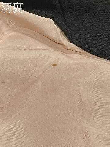 平和屋着物＃羽織　寿光織　風景文　黒地　金銀糸　正絹　逸品　CABE5051ua