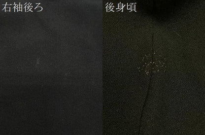 平和屋着物＃羽織　寿光織　草花文　黒地　金糸　正絹　逸品　CABE5072ua