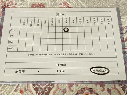 平和屋着物◎六通柄袋帯　唐織　蜀江正倉院花文　銀糸　正絹　逸品　CABE5238in