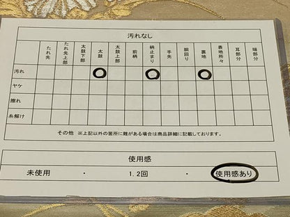平和屋着物◎六通柄袋帯　雲取り草花文　金銀糸　正絹　逸品　CABE5252in