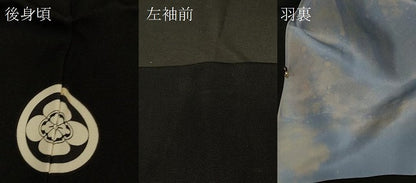 平和屋着物＃男性　羽織　黒紋付き　作家物　正絹　逸品　CABE5313in