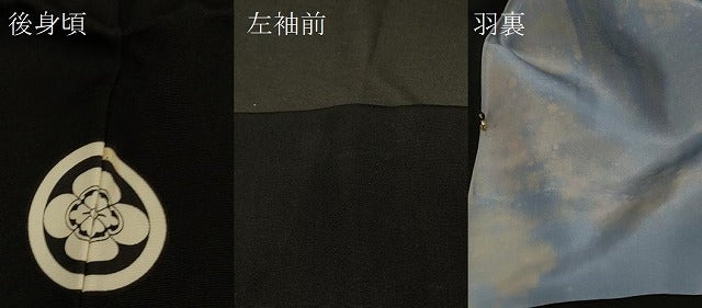 平和屋着物＃男性　羽織　黒紋付き　作家物　正絹　逸品　CABE5313in
