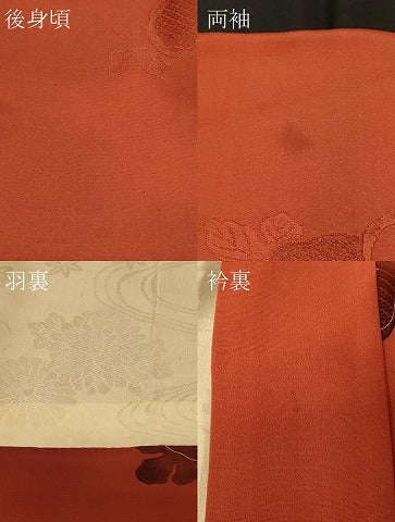 平和屋着物＃羽織　地紋起こし　草花文　暈し染め　正絹　逸品　CABE5336in